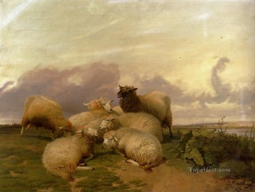 Thomas Sidney Cooper Painting - Ovejas en Canterbury Water Meadows animales de granja Thomas Sidney Cooper